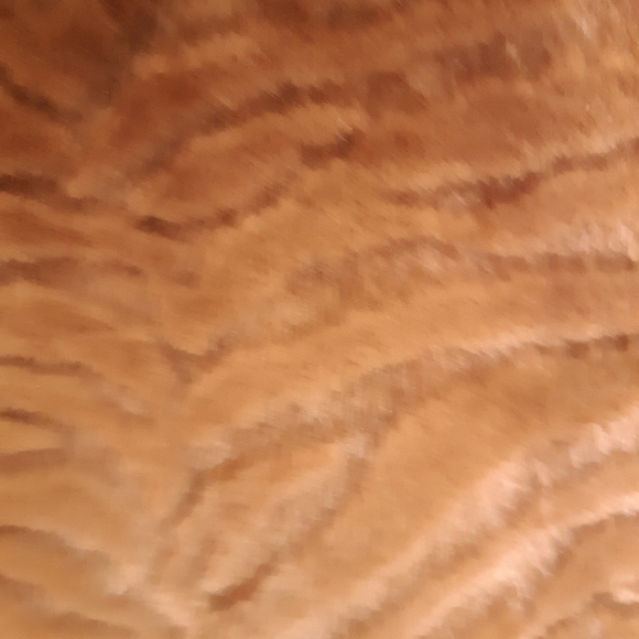 Bechamel faux fur zip up lined vest.  Medium - Picture 3 of 6